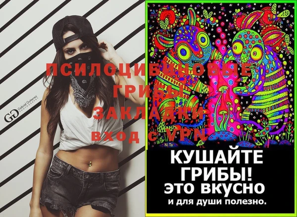 apvp Володарск