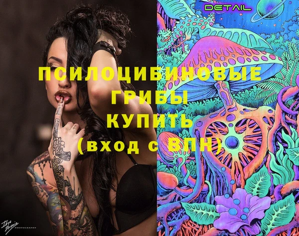 apvp Володарск