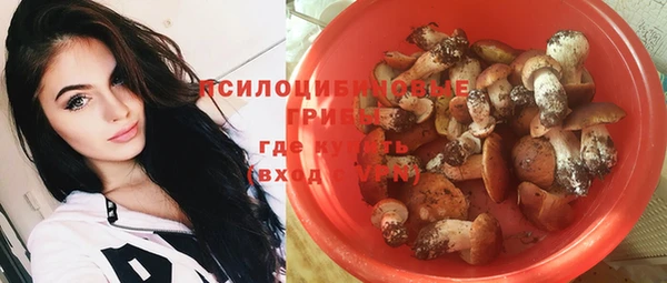 apvp Володарск